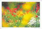 BELGIE/BELGIQUE - 1994 : Postogr 85** : PAPAVERS,COQUELICOTS,POPPIES,PAPAVERVELD,CHAMP De COQUELICOTS,FIELD Of POPPIES, - Other & Unclassified