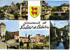 Carte Postale    SALIES-DE-BEARN - Bearn