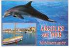 DAUPHIN / ARGELES-sur-MER (66) / CPM Circulée 1998 /  Très Bon état / SOLDEE - Dolphins