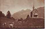 Suisse - A74 - Animaux - Vaches - Fribourg - Gruyère - Chapelle Des Combes - Villars Sous Mont - état - Semi Moderne - Chapelle