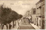 ALGERIE -ref No 231- Blidah - Boulevard Trumelet - Bon Etat - Blida