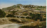 Vue De SANCERRE De La Route De Bury Photo Colorisée - Sancerre