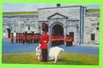 QUÉBEC - ROYAL 22è REGIMENT ET SA MASCOTTE - PHOTO LAVAL COUET - EMILE KIROUAC - - Québec - La Cité