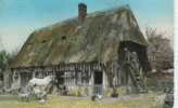 Delcampe - Vieille Ferme Normande N° 6 - Basse-Normandie