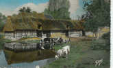 Delcampe - Cour De Ferme  "La Normandie" N° 5 - Basse-Normandie