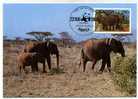 ELEPHANTS /  CARTE MAXIMUM  / UGANDA  1983 - Elephants