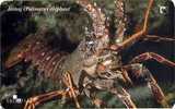 PALINURUS (Croatia) Lobster - Homard - Hummer - Centollo - Aragosta * Crab - Crabe - Krabbe - Cangrejo - Granchio Jastog - Croatia