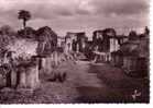 LANDEVENNEC - Abbaye Saint GUENOLE  -  N° 1342  -  Les Ruines De L´Eglise Abbatiale Du XIè S. Dans Le Choeur Se Trouve - Landévennec