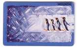 PENGUIN ( Germany Rare Card ) - Pingouin - Manchot - Pinguin - Pingüino - Pinguino - Penguins - Pingouins - Manchots *** - Pinguins
