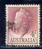 Australia, Yvert No 235 - Used Stamps
