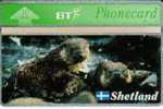 UK  SHETLAND  ISLANDS  10 U  OTTER  ANIMAL ANIMALS  SPECIAL 1 ONLY  ISSUE  FOR THOSE  ISLANDS  MINT L & G  1000  ONLY !! - Otros & Sin Clasificación