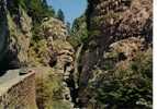 CPM.  VERCORS.    Dans Les Gorges De La Bourne. - Vercors