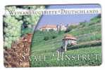 VINO  ( Germany Rare Card ) - Vin - Wein - Wine  * - Grape - Grapes - De Raisin - Wineyards - SAALE = UNSTRUT - Alimentación