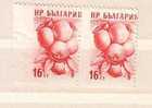 BULGARIA / Bulgarie  1957  Fruits -  ERROR  Right Imperforated - MNH - Variedades Y Curiosidades