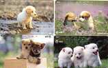 JAPON LOT 15 CARTES CHIENS DIFF SUPERBE - Chiens