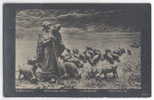 Art MASTROIANNI - La Declaration SHEEP SHEPHERD Pc Ser.082 RUSSIAN POSTCARD- 082026 - Mastroianni