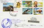 6615  LETTRE   CUBA - Delfines