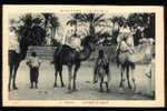 MISSIONS D'AFRIQUE.OUARGLA.EXCURSION AU DESERT. - Ouargla