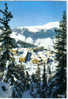 Carte Postale  COURCHEVEL  1850 Quartier Du Plantret - Courchevel