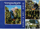 Carte Postale  BAZANCOURT  Vendanges En Champagne - Bazancourt