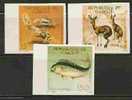 FAUNA - FIDDER CRAB , KLIPSPRINGERS, DOLPHINFISH DE LUXE IMPERFORATE PROOFS DJIBOUTI MINT (NH) - Crustaceans