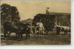 15 Cantal * La Fenaison * TYPES D'AUVERGNE *  Très Belle CPA Timbrée En 1941 - Cultivation