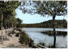 Carte Postale   17.  Montendre-les-Pins  Pêche Au Bord Du Lac Baron Desqueroux - Montendre