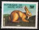 HAUTE VOLTA    567     NEUF**    Cote :   2,55 - Rabbits