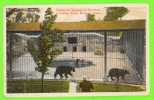 BEARS AT ZOOLOGICAL GARDENS, FRANKLIN PARK - BOSTON, MA - ANIMATED - MASON BROS - - Bears