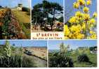 SAINT BREVIN -  Ses Pins  -  Ses Fleurs -   5 Vues   -  N°  44 765 - Saint-Brevin-les-Pins