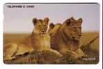 LION ( Korea Chip Card ) – Loewe – Leon – Leone – Lions -  Damaged Card - Scratched  ( See Scan ) Special Price ! - Dschungel