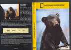 DVD - LES BEBES ANIMAUX - Documentales