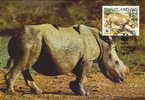 Swaziland : CM Carte Maximum Rhinoceros Blanc Pachyderme Afrique Cerathotherium Simum WWF - Neushoorn