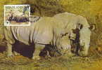 Swaziland : CM Carte Maximum Rhinoceros Blanc Pachyderme Afrique Cerathotherium Simum WWF - Rhinocéros