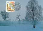 Liechtenstein : CM Carte Maximum Montagne Neige Hiver Arbre Brouillard Meteo Froid - Clima & Meteorologia