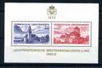 LICHTENSTEIN / BLOC FEUILLET 12 / VADUZ EXPO / CHATEAU / VILLAGE - Unused Stamps