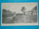 62) Saint-pol - N° 15 - Plantation De Tabac - Le Sarclage - Année 1909 - EDIT L'abeille  -  Tres Belle Carte - Saint Pol Sur Ternoise