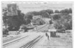 61 // ORNE / L AIGLE, Passage à Niveau, Route De La Ferté Fresnel, Arrivée De L'express Granville Paris / ANimée Pasquis - L'Aigle