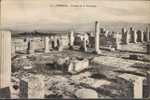 Tebessa : Ruines De La Basilique - (c1388) - Tébessa