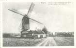 Zingem - Molen 't Dal, Oudste Molen Van België - Zingem