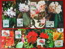 1991 CHINA T162 Rhododendra FLOWER MC 8V - Cartes-maximum