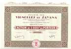 TITRE .VIGNOBLE DE ZAYANA - Landbouw