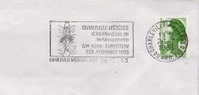 Puppets Postmark On Cover 11814 - Marionetas