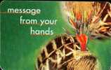 SOUTH AFRICA Message From Your Hands Tgam - Afrique Du Sud