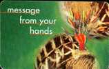 SOUTH AFRICA Message From Your Hands Tgam - Südafrika