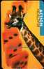 SOUTH AFRICA Used Telephone Card Giraffe Tnbr - Südafrika