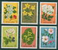 3018 Bulgaria 1981 Flora Medicinal Herbs MNH /Weissdorn Johanniskraut Schwarzer Holunder Brombeere Silberli/Heilpflanzen - Legumbres