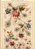 - FANTAISIES . FLEURS ET PLUMES . PLANCHE DU JOURNAL DE LA DECORATION . CHROMOLITHO DU XIXe S. - Lithographien