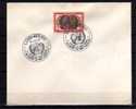 Luxembourg 1955, Anniversaire De La Charte Des Nations Unies, Cachet Commémoratif - FDC