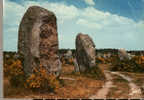 CARTE POSTALE CARNAC - BRETAGNE - Dolmen & Menhire